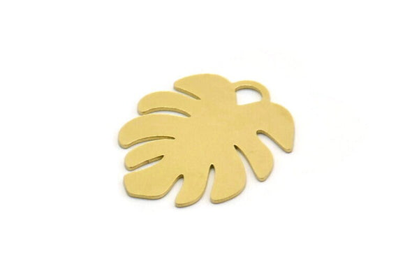 Brass Monstera Charm, 6 Raw Brass Monstera Leaf Shaped Charms With 1 Loop, Pendant, Earring Findings (26x22x0.60mm) SMP0288