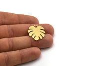 Brass Monstera Charm, 6 Raw Brass Monstera Leaf Shaped Charms With 1 Loop, Pendant, Earring Findings (26x22x0.60mm) SMP0288