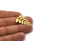 Brass Leaf Charm, 6 Raw Brass Acacia Leaf Charms With 1 Loop, Findings (37.5x25x0.60mm) SMP0306