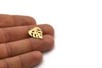 Brass Monstera Charm, 12 Raw Brass Monstera Leaf Shaped Charms With 1 Loop, Pendant, Earring Findings (20x15x0.60mm) SMP0355