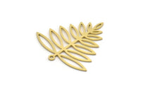 Brass Leaf Charm, 6 Raw Brass Acacia Leaf Charms With 1 Loop, Findings (31x31x0.60mm) SMP0278