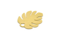 Brass Monstera Charm, 6 Raw Brass Monstera Leaf Shaped Charms With 1 Loop, Pendant, Earring Findings (26x22x0.60mm) SMP0288