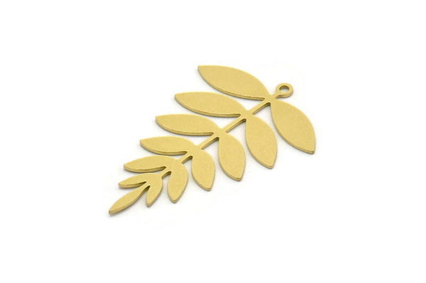 Brass Leaf Charm, 6 Raw Brass Acacia Leaf Charms With 1 Loop, Findings (37.5x25x0.60mm) SMP0306