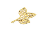 Brass Leaf Charm, 6 Raw Brass Branch Charms With 1 Loop, Charm Pendants (31x24x0.60mm) SMP0933